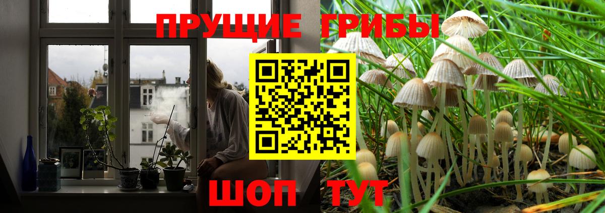Псилоцибиновые грибы GOLDEN TEACHER  Вход с VPN  Серпухов 