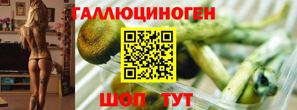 Галлюциногенные грибы мицелий Серпухов
